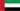 UAE Flag